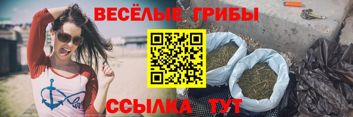 Псилоцибиновые грибы GOLDEN TEACHER Кимовск