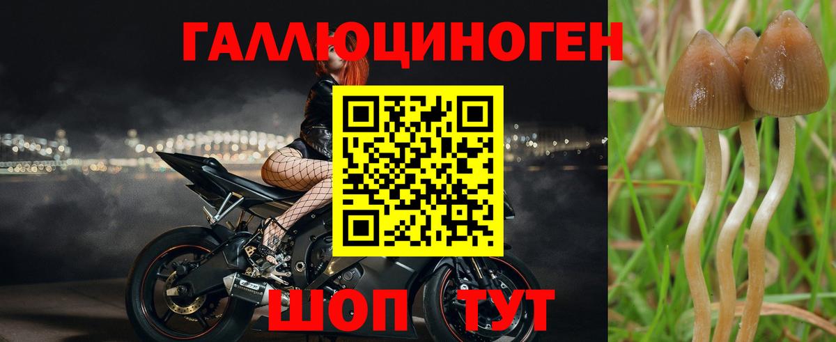 Псилоцибиновые грибы Psilocybe  Галлюциногенные грибы GOLDEN TEACHER  Вход с VPN  дарнет шоп  Кимовск 
